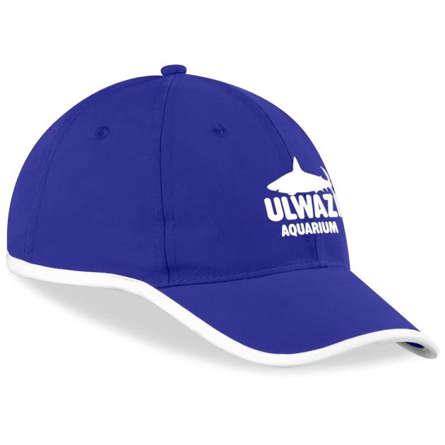 New Jersey Cap